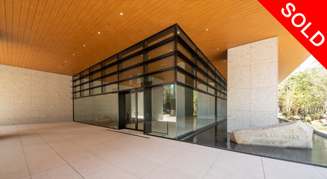 白金ザ・スカイ